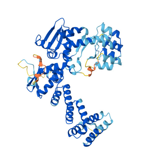 RCSB PDB - AF_AFQ969K4F1: Computed structure model of Ankyrin repeat ...