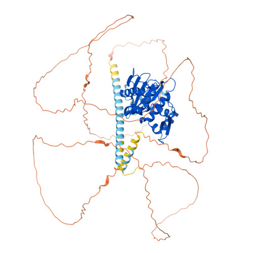 RCSB PDB - AF_AFQ9P0U3F1: Computed structure model of Sentrin-specific ...