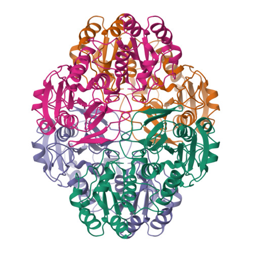 ASPARAGINASE