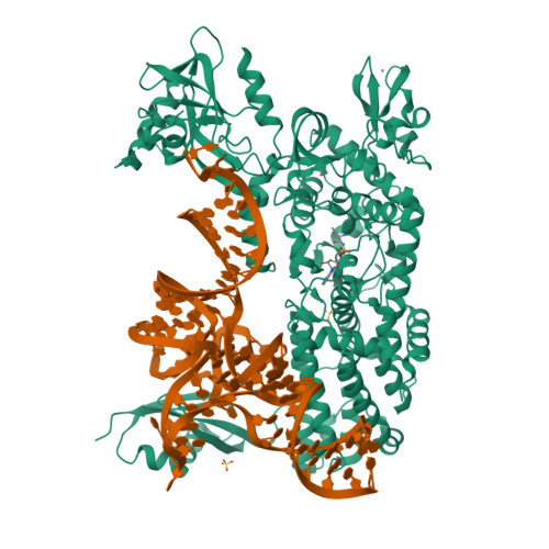 5AH5 assembly