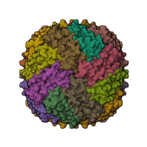 Ferritin Nanocage protein structure