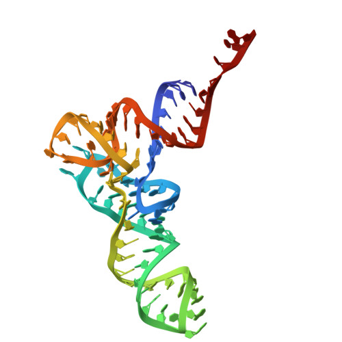 Rcsb Pdb 5aj0 Cryo Electron Microscopy Of Actively Translating Human Polysomes Post State