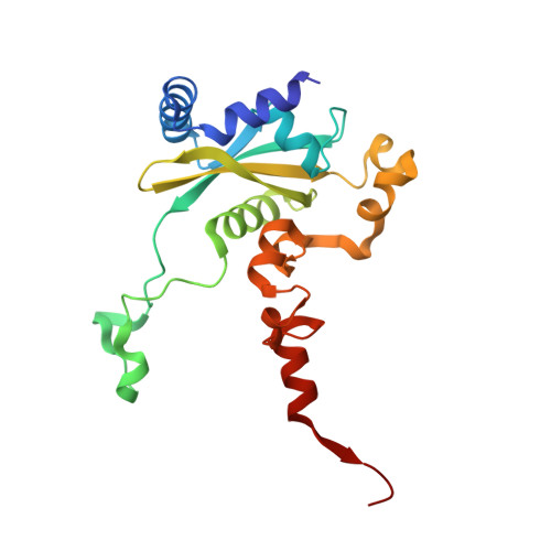 Rcsb Pdb 5aj0 Cryo Electron Microscopy Of Actively Translating Human Polysomes Post State