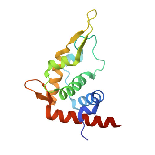 Rcsb Pdb 5aj0 Cryo Electron Microscopy Of Actively Translating Human Polysomes Post State