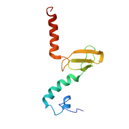 Rcsb Pdb 5aj0 Cryo Electron Microscopy Of Actively Translating Human Polysomes Post State