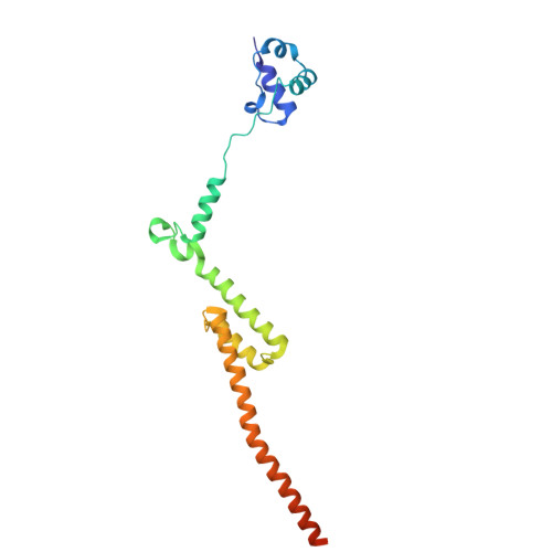 Rcsb Pdb 5aj0 Cryo Electron Microscopy Of Actively Translating Human Polysomes Post State