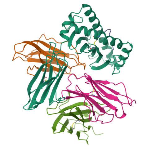 MHC Complex protein structure