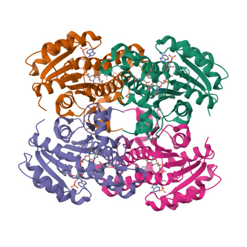 Protein Data Bank: 4ALI