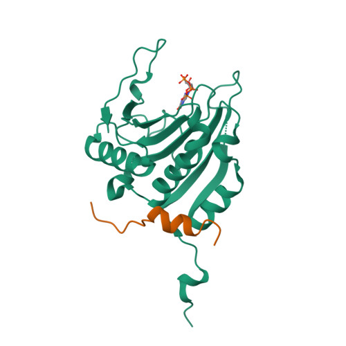 Rcsb Pdb 3am7 Crystal Structure Of The Ternary Complex Of Eif4e M7gtp 4ebp2 Peptide