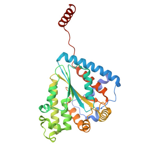 Rcsb Pdb 6ang Crystal Structure Of Ppk2 Class Iii In The Complex Rcsb Pdb 6ang Crystal Structure Of Ppk2 Class Iii In The Complex