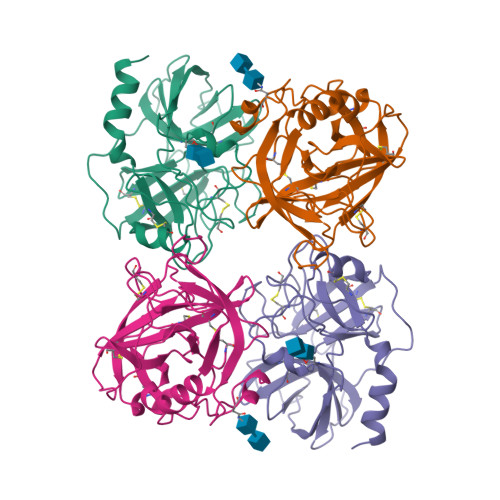 Rcsb Pdb 1ao5 Mouse Glandular Kallikrein 13 Prorenin Converting Enzyme