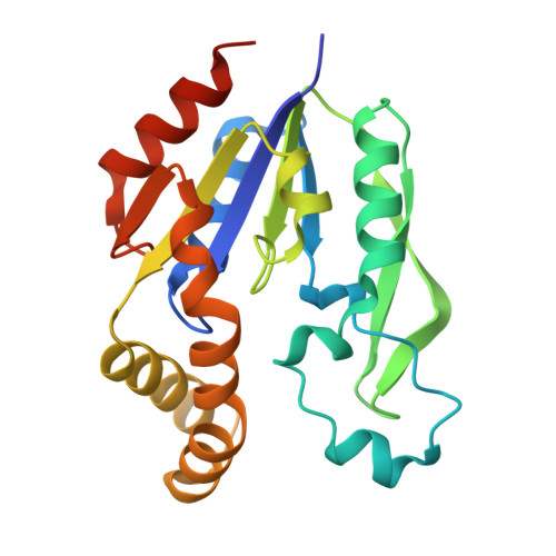 RCSB PDB - 3ASY: ligand-free structure of uridine kinase from thermus ...