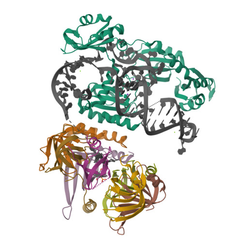 6ASO assembly