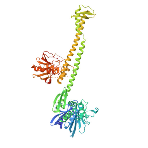 RCSB PDB - 7ASA: Bacillus Subtilis Ribosome-associated Quality Control ...