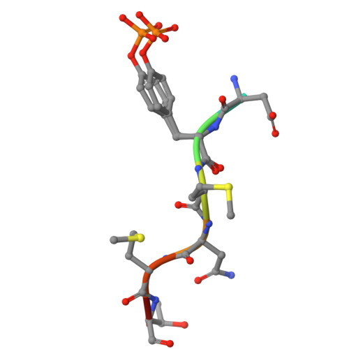 Rcsb Pdb 5aul Pi3k P85 C Terminal Sh2 Domain Cd28 Derived Peptide Complex