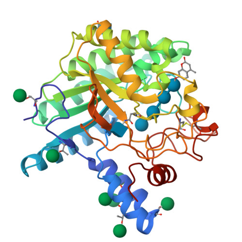 Rcsb Pdb 4ax7 Hypocrea Jecorina Cel6a D221a Mutant Soaked With 4 Methylumbelliferyl Beta D Cellobioside