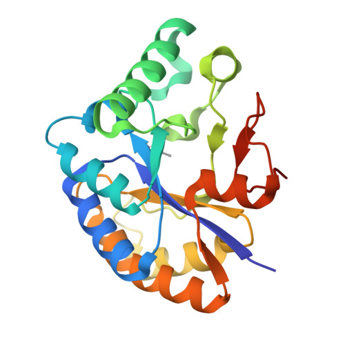 Rcsb Pdb 7ax7 Crystal Structure Of The Xyl Ce4 Domain Of A Multidomain Xylanase From The Hindgut Metagenome Of Trinervitermes Trinervoides