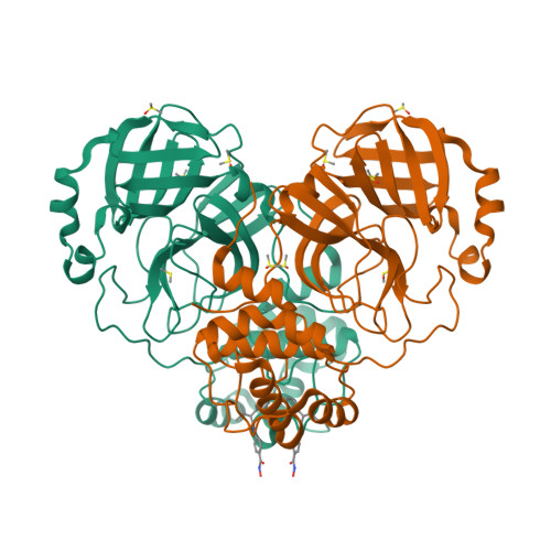 Rcsb Pdb 7axo Structure Of Sars Cov 2 Main Protease Bound To Ar 42