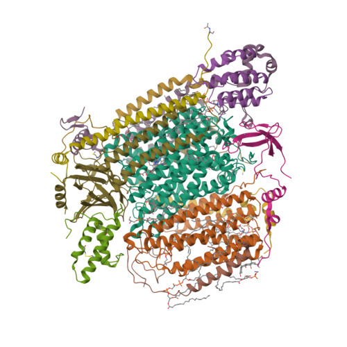 Rcsb Pdb 5b1a Bovine Heart Cytochrome C Oxidase In The Fully Oxidized State At 1 5 Angstrom Resolution