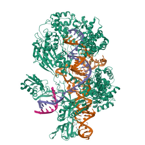 5B2P assembly