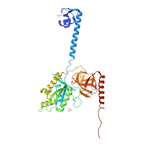 4b3x Bacterial Translation Initiation Factor If2 1 363 Apo Form Rcsb Pdb
