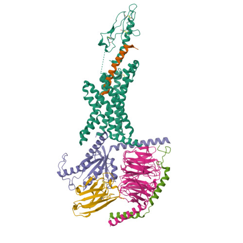 6b3j 3 3 Angstrom Phase Plate Cryo Em Structure Of A Biased Agonist Bound Human Glp 1 Receptor Gs Complex Rcsb Pdb