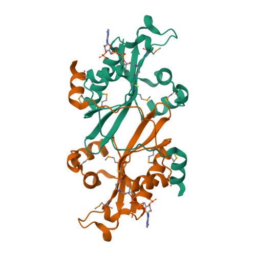 RCSB PDB - 2B58: SSAT with coa_sp, spermine disordered, K26R mutant