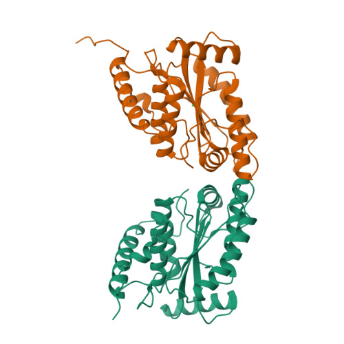 Rcsb Pdb 5b5q 1 7 Angstroms Structure Of Chladub1 From Chlamydia Trachomatis