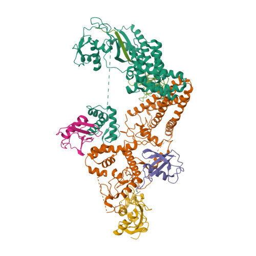 Rcsb Pdb 7b5n Ubiquitin Ligation To F Box Protein Substrates By Scf Rbr Super Assembly Nedd8 Cul1 Rbx1 Ube2l3 Ub Arih1