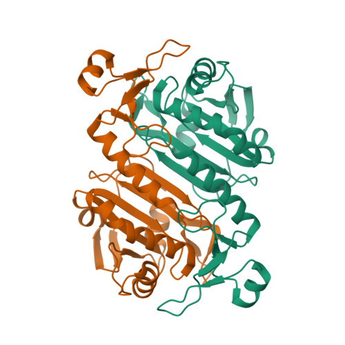 Rcsb Pdb 5b6m Crystal Structure Of Human Peroxiredoxin 6 In Reduced State