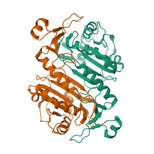 Rcsb Pdb 5b6m Crystal Structure Of Human Peroxiredoxin 6 In Reduced State