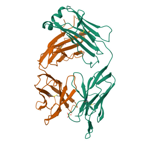 Rcsb Pdb 1bbd Three Dimensional Structure Of The Fab Fragment Of A Neutralizing Antibody To Human Rhinovirus Serotype 2
