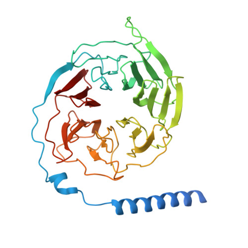 Rcsb Pdb 7bb6 Avp V2r Galphas Beta1 Gamma2 Nb35 L State