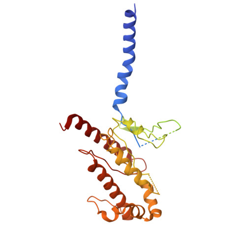 Rcsb Pdb 7bb6 Avp V2r Galphas Beta1 Gamma2 Nb35 L State