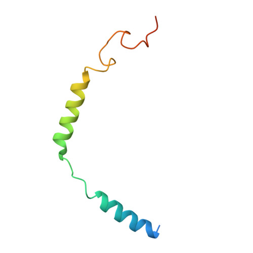Rcsb Pdb 7bb6 Avp V2r Galphas Beta1 Gamma2 Nb35 L State