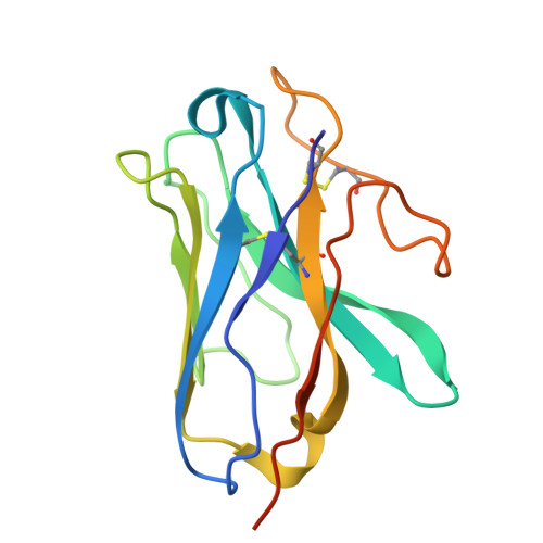 Rcsb Pdb 7bb6 Avp V2r Galphas Beta1 Gamma2 Nb35 L State