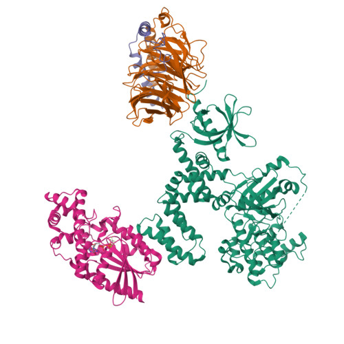 Rcsb Pdb 2bcj Crystal Structure Of G Protein Coupled Receptor Kinase 2 In Complex With Galpha Q And Gbetagamma Subunits