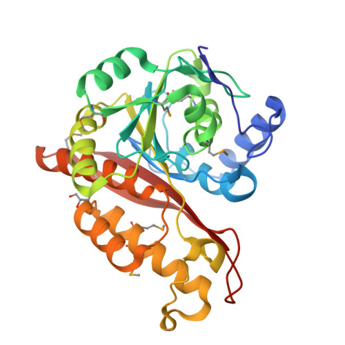 Rcsb Pdb 3bcz Crystal Structure Of Memo