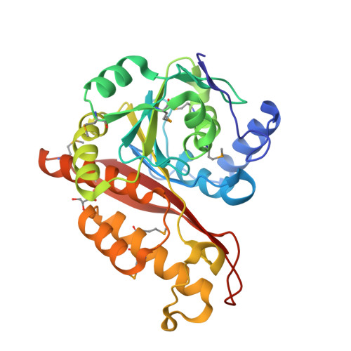 3bcz Crystal Structure Of Memo Rcsb Pdb