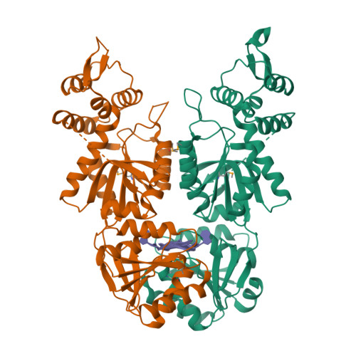 7BDV assembly