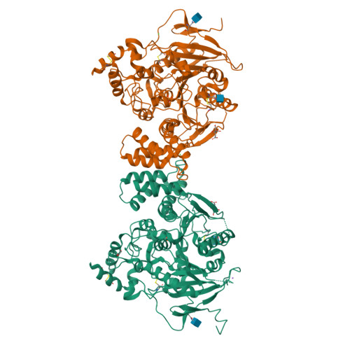 Rcsb Pdb 3be8 Crystal Structure Of The Synaptic Protein Neuroligin 4