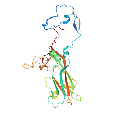 Rcsb Pdb 7bg7 Hrv14 In Complex With Its Receptor Icam 1