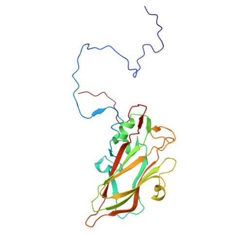 Rcsb Pdb 7bg7 Hrv14 In Complex With Its Receptor Icam 1