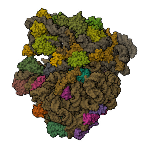 8BHL assembly