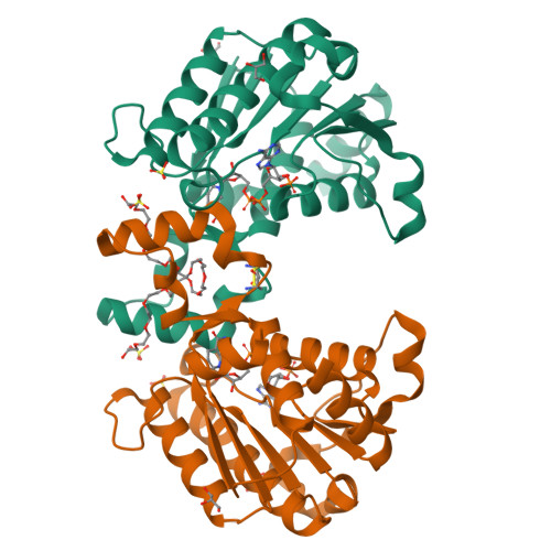 Rcsb Pdb 2bka Cc3 Tip30 Crystal Structure Rcsb Pdb 2bka Cc3 Tip30 Crystal Structure