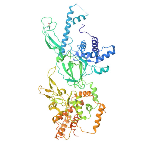 Rcsb Pdb 5bk4 Cryo Em Structure Of Mcm2 7 Double Hexamer On Dsdna