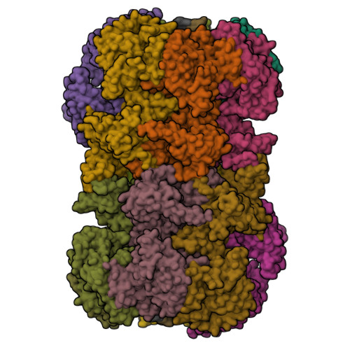 Rcsb Pdb 5bk4 Cryo Em Structure Of Mcm2 7 Double Hexamer On Dsdna