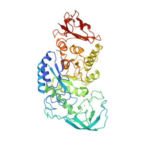 Rcsb Pdb 1bli Bacillus Licheniformis Alpha Amylase