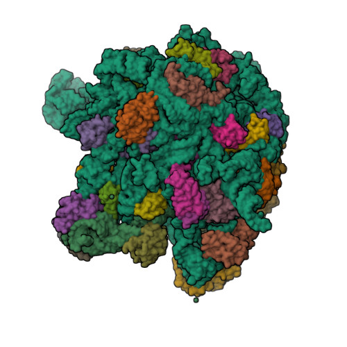 7BL2 assembly