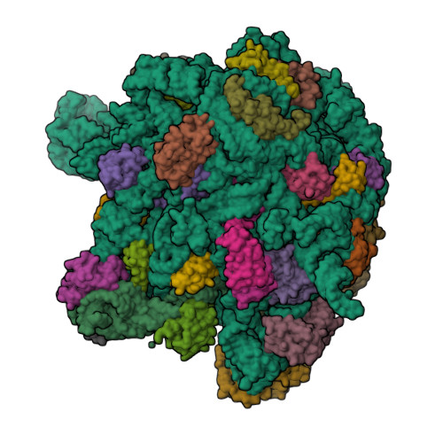 7BL3 assembly